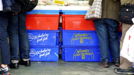 Sydney, Fish Market, April 2014 Sydney, Fish Market