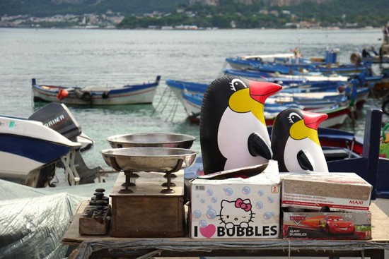 Palermo, penguins at Mondello, oct. 2015 Palermo, penguins at Mondello
