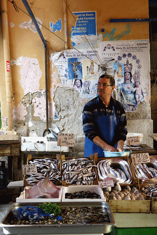 Palermo, fish seller at Ballaro market, oct. 2015 Palermo, fish seller at Ballaro market